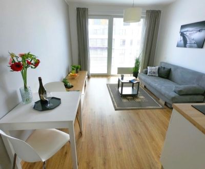 Mieten 1-Zimmer-Wohnung, 1-Zimmer-Wohnung, Zuzany Chalupovej, Bratisla