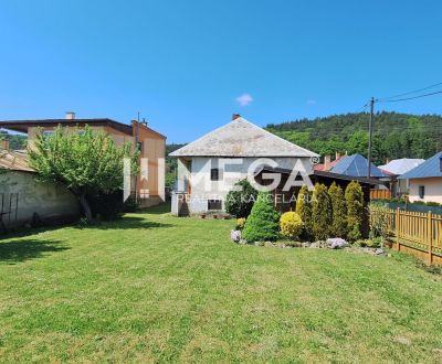 Kaufen Einfamilienhaus, Einfamilienhaus, Kochanovce, Humenné, Slowakei