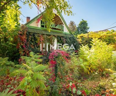 Kaufen Einfamilienhaus, Einfamilienhaus, Sobrance, Slowakei