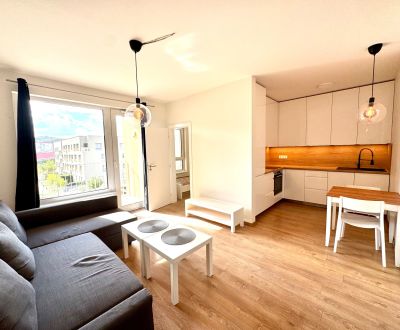 Kaufen 2-Zimmer-Wohnung, 2-Zimmer-Wohnung, Zdenky Schelingovej, Bratis