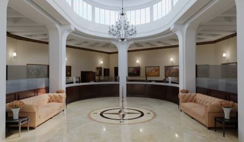 Mieten Geschäftsräumlichkeiten, Geschäftsräumlichkeiten, J.Kozáčeka, Z