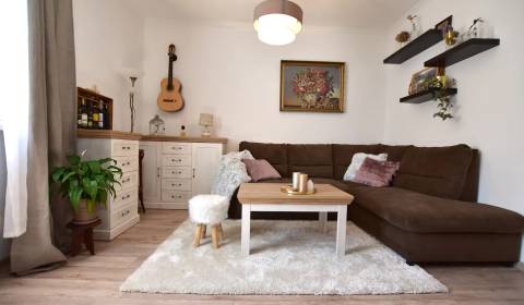 1-Zimmer-Wohnung, Športová, zu vermieten, Bratislava - Staré Mesto, Sl