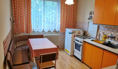 Einfamilienhaus, Kochová, zu verkaufen, Nitra, Slowakei