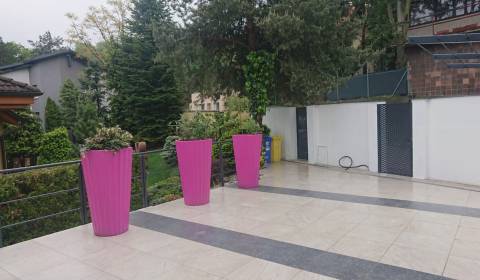 Mieten 4-Zimmer-Wohnung, 4-Zimmer-Wohnung, Matúšová, Bratislava - Star