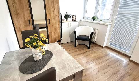 Mieten 1-Zimmer-Wohnung, 1-Zimmer-Wohnung, Hanácka, Bratislava - Ružin