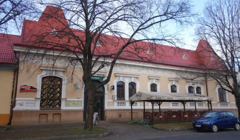 Geschäftsräumlichkeiten, zu vermieten, Nitra, Slowakei