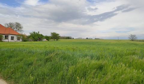 Baugrund, Malé Zálužie, zu verkaufen, Nitra, Slowakei