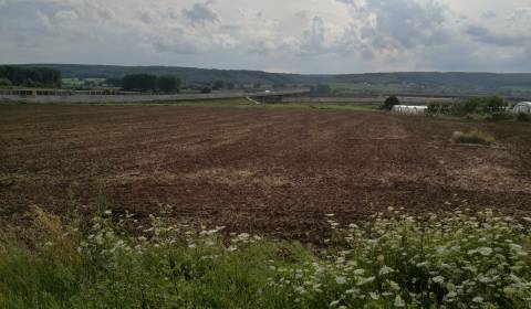 Baugrund, zu verkaufen, Košice-okolie, Slowakei
