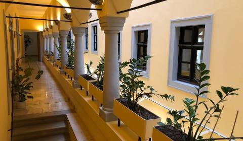 Büros, Michalská, zu vermieten, Bratislava - Staré Mesto, Slowakei