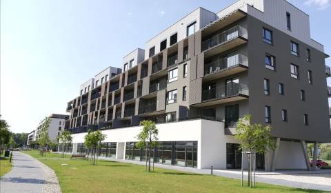 1-Zimmer-Wohnung, Fialová, zu verkaufen, Bratislava - Petržalka, Slowa