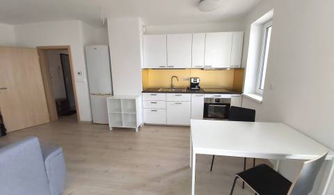 1-Zimmer-Wohnung, Kmeťova, zu vermieten, Nitra, Slowakei