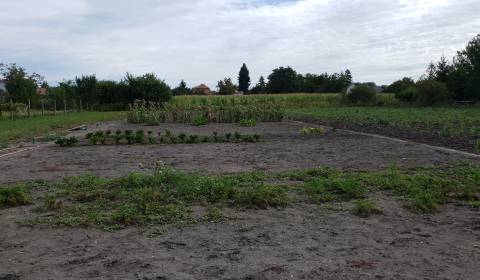 Einfamilienhaus, zu verkaufen, Komárno, Slowakei