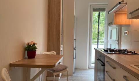 2 Zimmer Wohnung, Riazanská, zu vermieten, Bratislava - Nové Mesto, Sl