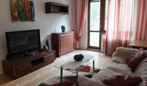 2 Zimmer Wohnung, Vikárska, zu vermieten, Nitra, Slowakei
