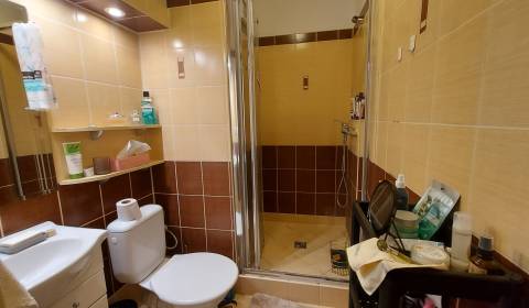 1 Zimmer Wohnung, zu verkaufen, Nové Zámky, Slowakei