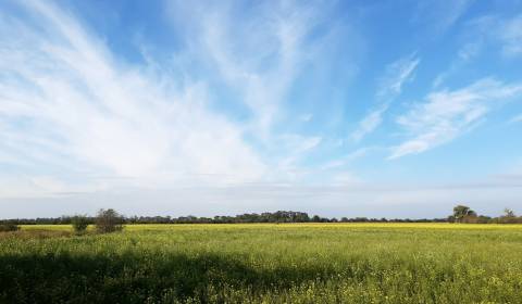 Landwirtsch. Grundstücke, Južná, zu verkaufen, Senec, Slowakei
