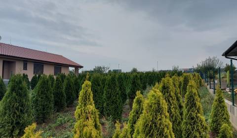 Baugrund, zu verkaufen, Nitra, Slowakei