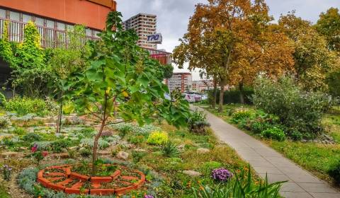 Doppel-Garconniere, Vavilovova, zu verkaufen, Bratislava - Petržalka,