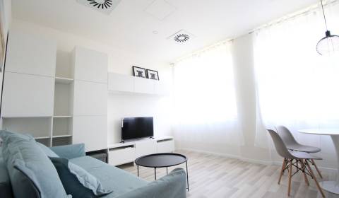 Garconniere, Bezručova, zu vermieten, Bratislava - Staré Mesto, Slowak