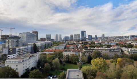 2-Zimmer-Wohnung, Ružová dolina, zu verkaufen, Bratislava - Ružinov, S