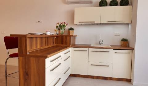 2-Zimmer-Wohnung, Ružová dolina, zu verkaufen, Bratislava - Ružinov, S