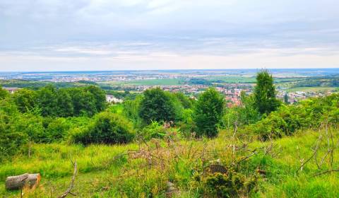 Baugrund, Limbach, zu verkaufen, Pezinok, Slowakei