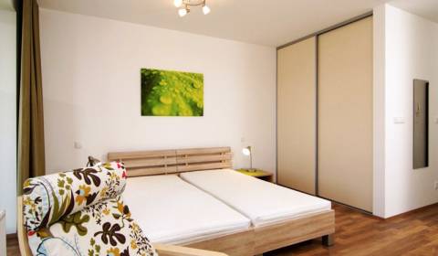 1-Zimmer-Wohnung, Žltá, zu vermieten, Bratislava - Petržalka, Slowakei