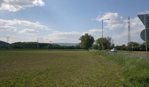 Kaufen landwirtsch. Grundstücke, 54, Nové Mesto nad Váhom, Slowakei
