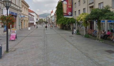 Geschäftsräumlichkeiten, zu vermieten, Nitra, Slowakei
