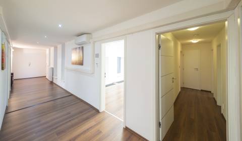 5+ Zimmer-Wohnung, Nedbalova, zu vermieten, Bratislava - Staré Mesto,