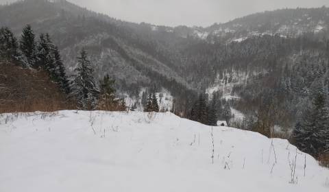 Baugrundstück Erholung, U Haladeji, zu verkaufen, Čadca, Slowakei