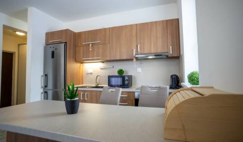 2-Zimmer-Wohnung, Potravinárska, zu vermieten, Nitra, Slowakei