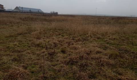 Landwirtsch. Grundstücke, zu verkaufen, Martin, Slowakei