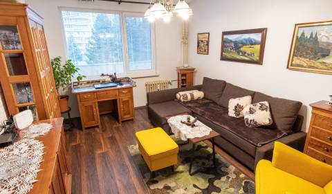2-Zimmer-Wohnung, Lesná, zu vermieten, Nitra, Slowakei