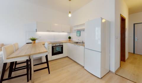 1-Zimmer-Wohnung, Mlynské nivy, zu verkaufen, Bratislava - Ružinov, Sl