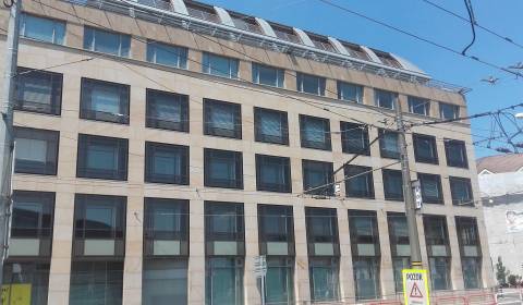 Büros, Hodžovo námestie, zu vermieten, Bratislava - Staré Mesto, Slowa