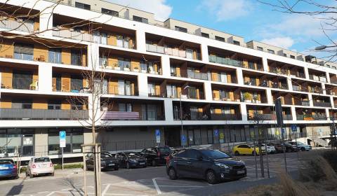 Garconniere, Žltá, zu vermieten, Bratislava - Petržalka, Slowakei