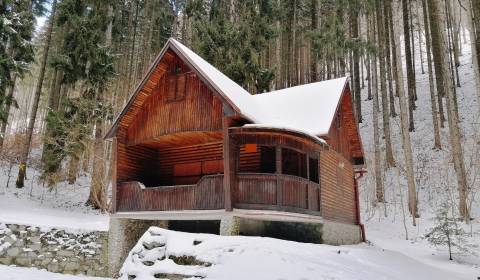 Ferienhaus, Kolónia Hviezda, zu verkaufen, Martin, Slowakei