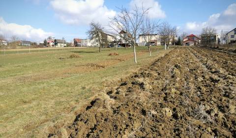 Baugrund, zu verkaufen, Bardejov, Slowakei