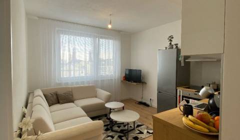 1-Zimmer-Wohnung, Štefánikova, zu verkaufen, Nitra, Slowakei
