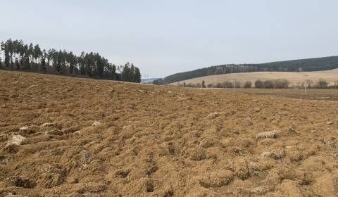 Kaufen landwirtsch. Grundstücke, landwirtsch. Grundstücke, Spišská Nov