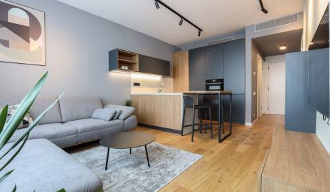 2-Zimmer-Wohnung, Továrenská, zu vermieten, Bratislava - Staré Mesto,