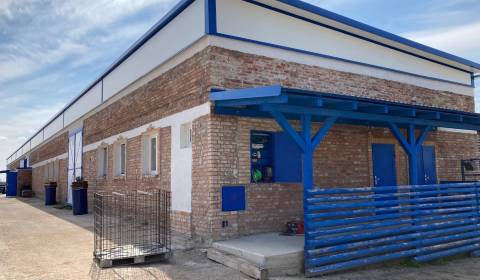 Geschäftsräumlichkeiten, zu vermieten, Trnava, Slowakei