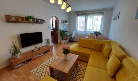 2-Zimmer-Wohnung, Hollého, zu verkaufen, Šaľa, Slowakei