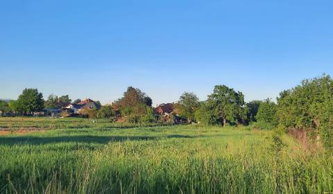 Baugrund, Vajka nad Žitavou, zu verkaufen, Nitra, Slowakei