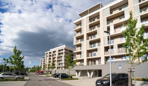 2-Zimmer-Wohnung, Inovecká, zu vermieten, Košice - Západ, Slowakei