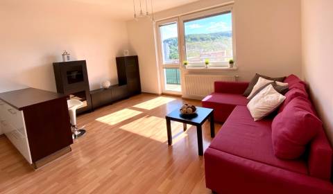 1-Zimmer-Wohnung, Saratovská, zu verkaufen, Bratislava - Dúbravka, Slo