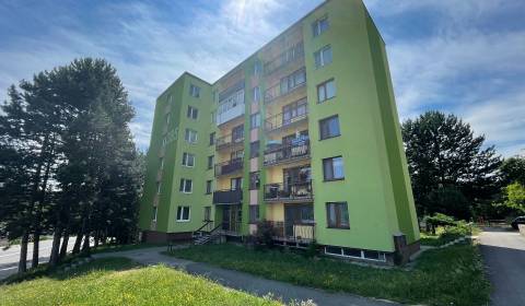 Kaufen 4-Zimmer-Wohnung, Viestova, Myjava, Slowakei