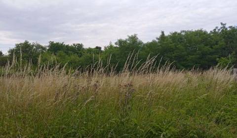 Baugrund, zu verkaufen, Šaľa, Slowakei