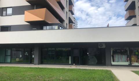 Geschäftsräumlichkeiten, Muchovo nám., zu vermieten, Bratislava - Petr